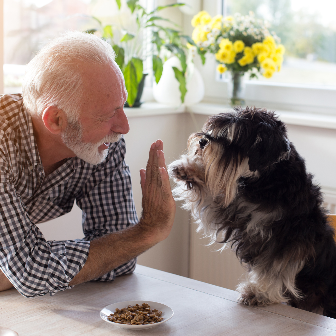 Pets For Seniors