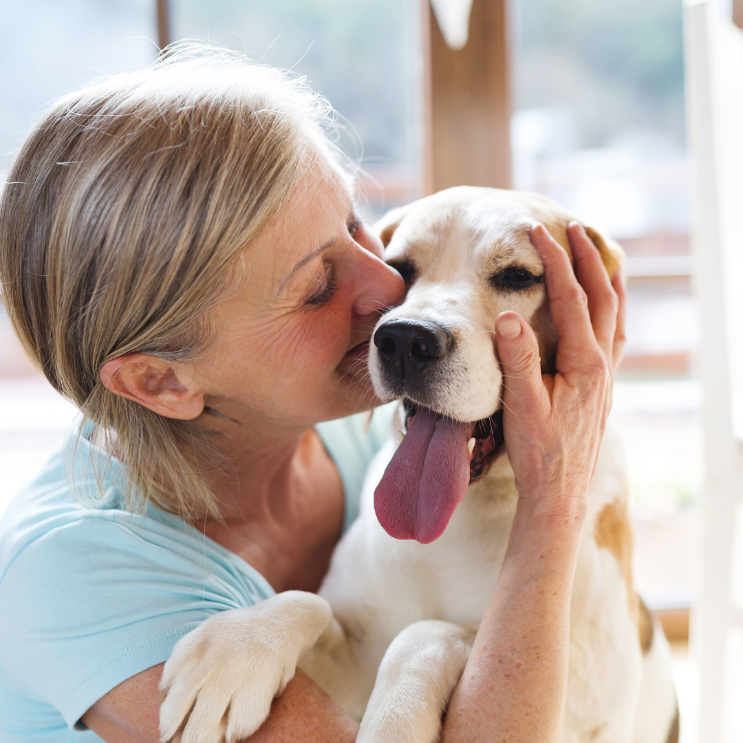 Senior Wellness with Pet Therapy